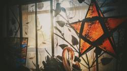 12743666_1195641233810110_5061878121268750867_n