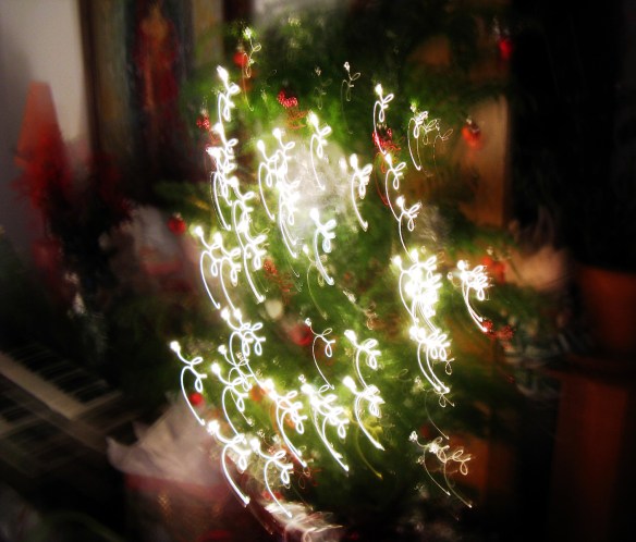 3132952859_c42ac940d5_o