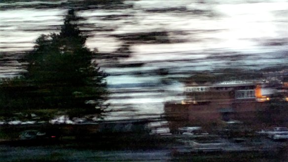 37313429062_ee42eb456d_o