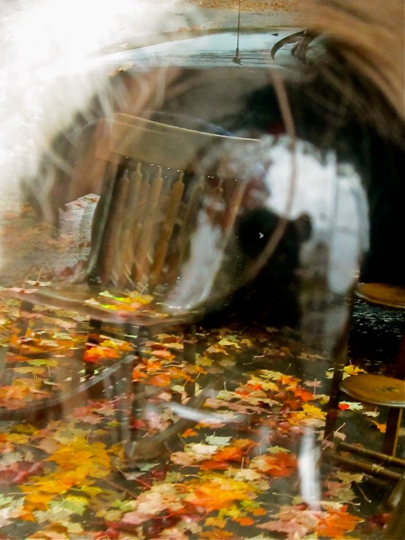 6297973850_dea7fc715e_o (1)