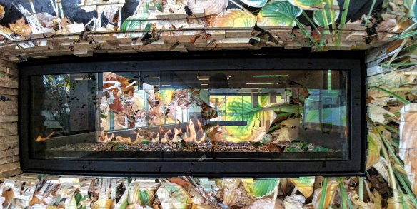 38062883352_b9d612c13f_o