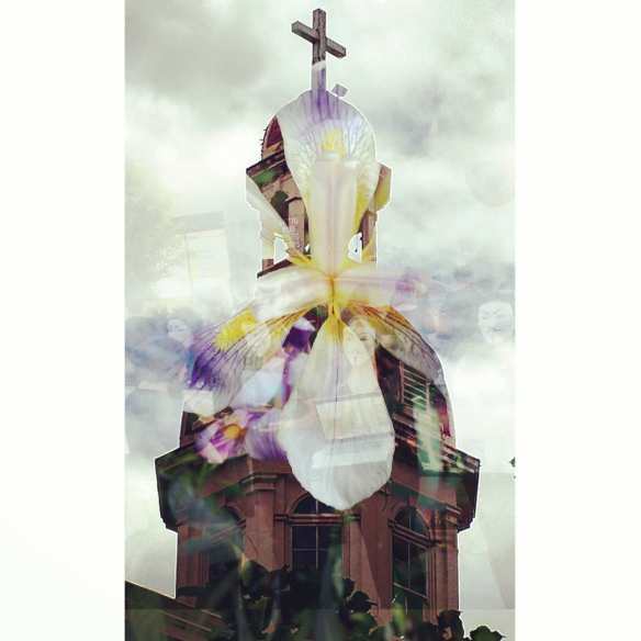 31920734_1985210258458854_7434346376558804992_n