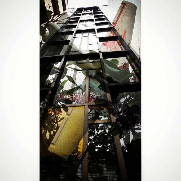 35972661_2619300124777540_6121020814247591936_o