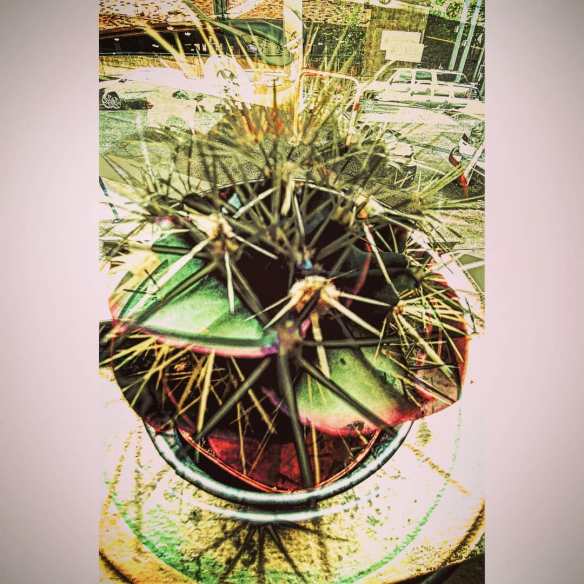 36462507_2634233663284186_5237213288869134336_o