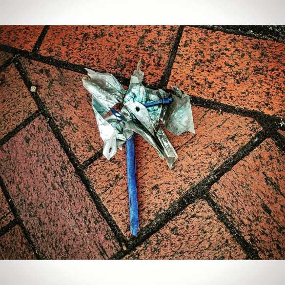 36930981_2656397271067825_3517730441949872128_o