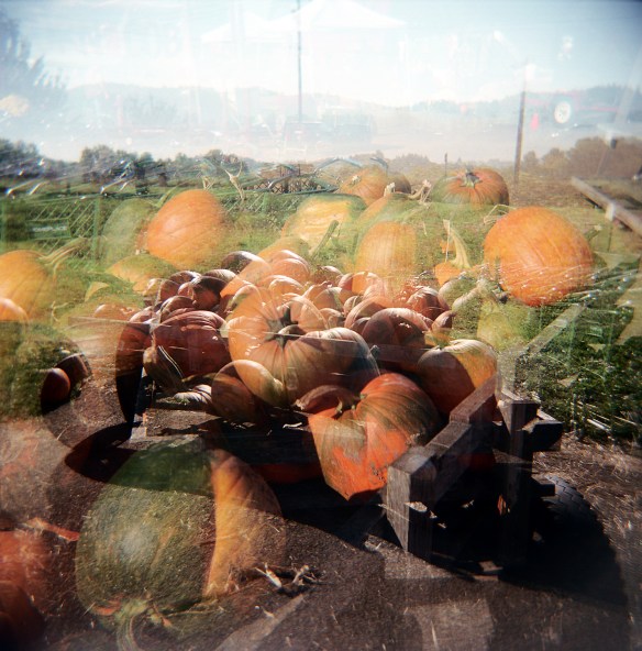 1752042233_68d5b067a0_o