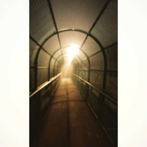 50658224_3068872496486965_1587409325507215360_o