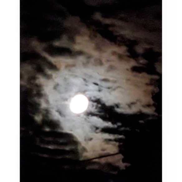 66474122_3503115186396025_2174756969502474240_o