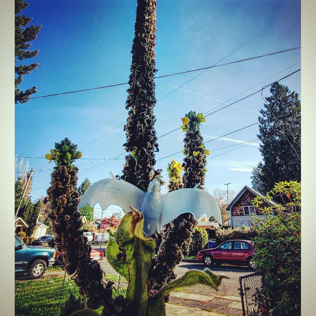 70153562_3829146820459525_7531561878972006400_o