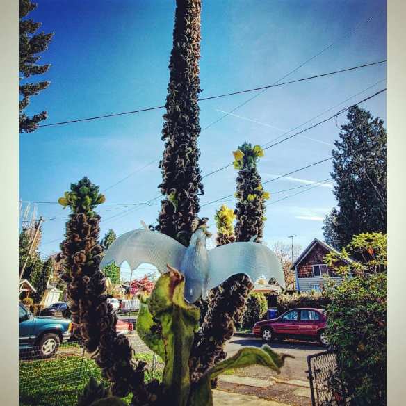 70153562_3829146820459525_7531561878972006400_o