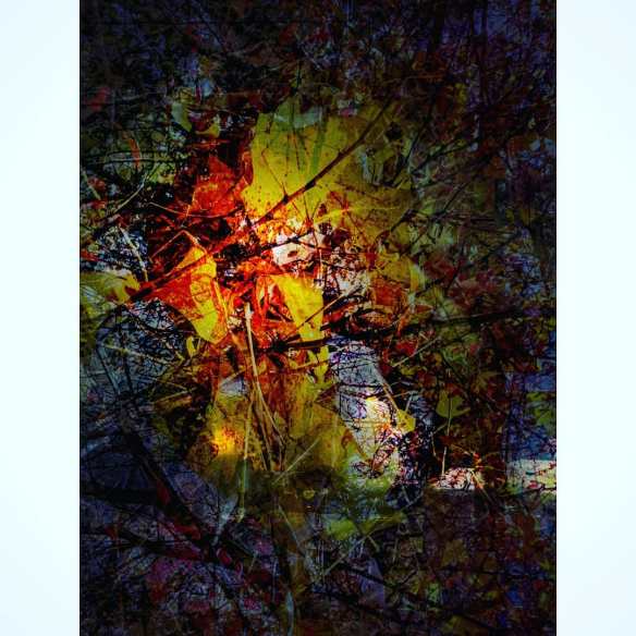 74604761_3846535852053955_3090065799369457664_o