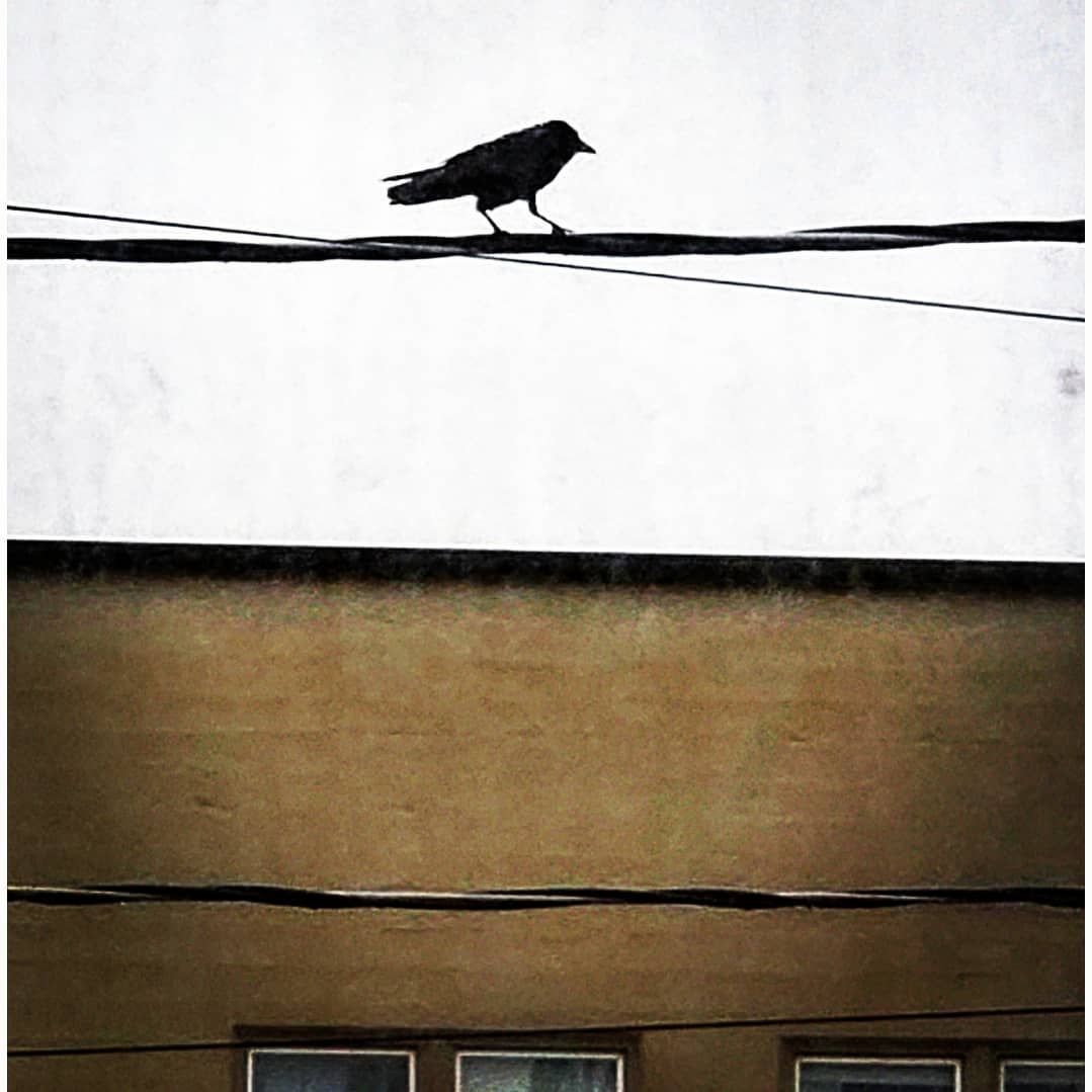 80068676_4002211406486398_5957941919630753792_o